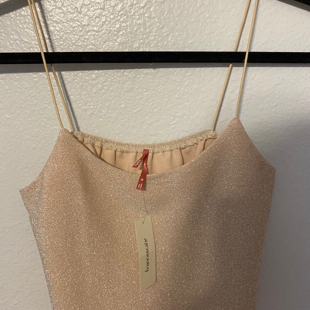 FRANCESCA'S gold shimmery crop top